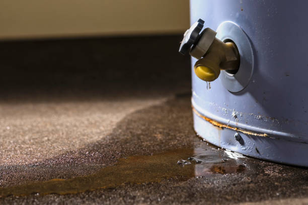Best Flood damage cleanup  in Albertville, MN