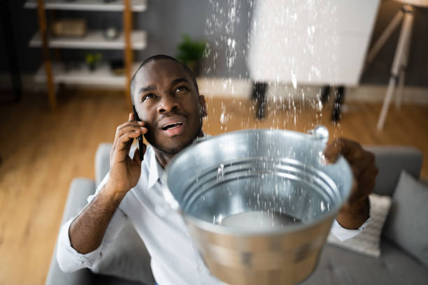 Best Water damage mitigation services  in Albertville, MN