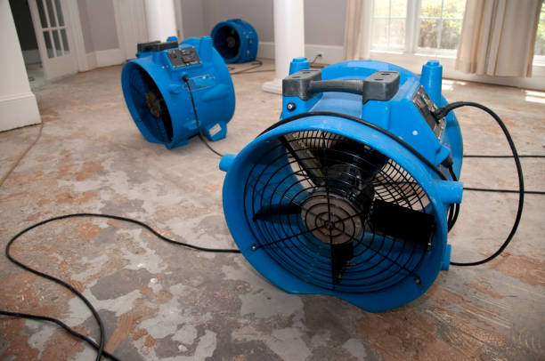 Best Water damage restoration near me  in Albertville, MN