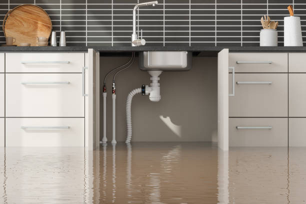 Best Professional water damage repair  in Albertville, MN