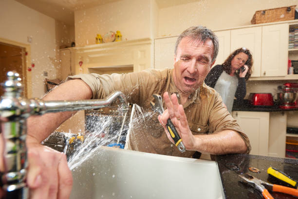 Best Water damage contractors near me  in Albertville, MN